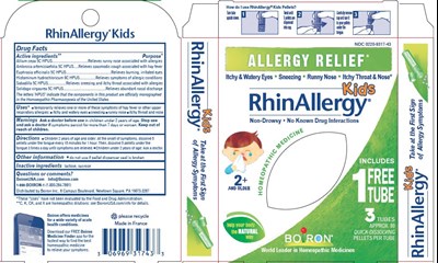 Box (Rhinallergy Kids Pellets)